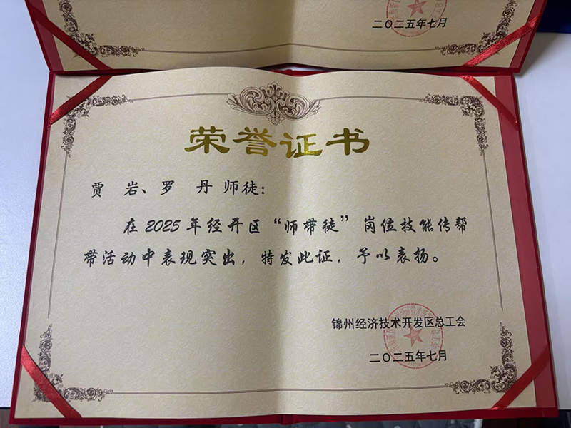 賈巖、羅丹師徒榮獲經(jīng)開區(qū)“師帶徒”崗位技能傳幫帶活動(dòng)表彰